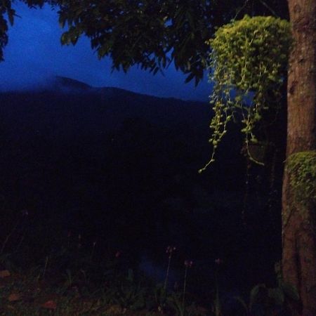 Evergreen Villa - Sinharaja 데니야야 외부 사진